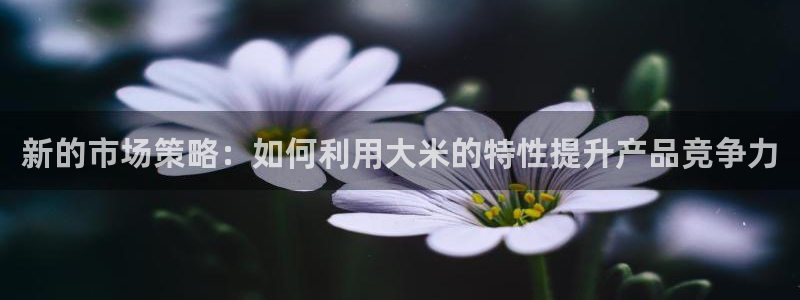 必赢官网app下载安装苹果