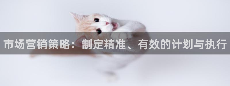 必赢平台官方网站登录