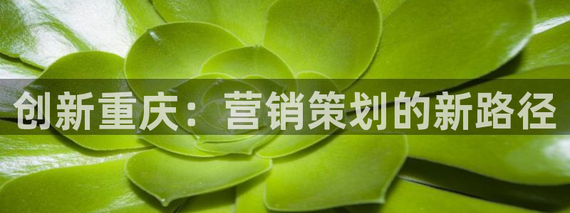 必赢7231