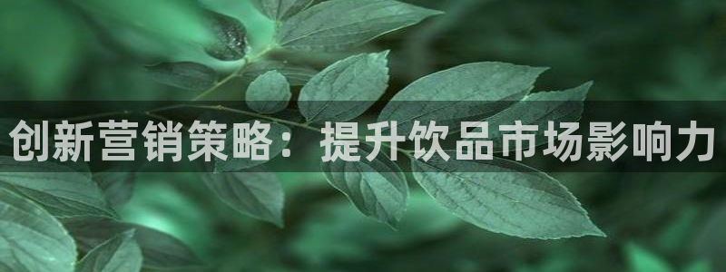 必赢官网网站首页入口：创新营销