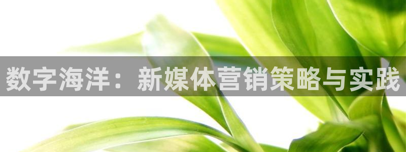 必赢网址 登录