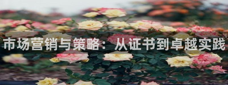 必赢平台怎么样把钱提到银行卡里