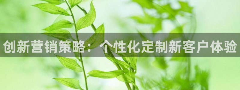 必赢app客户端下载官网