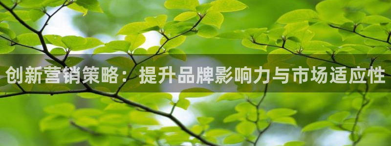 必赢365官方网登录