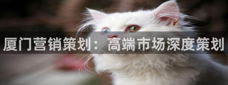 必赢官网入口下载app