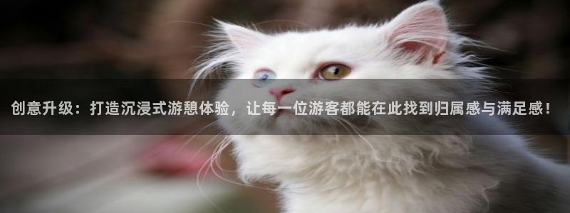 必赢官网网址多少号