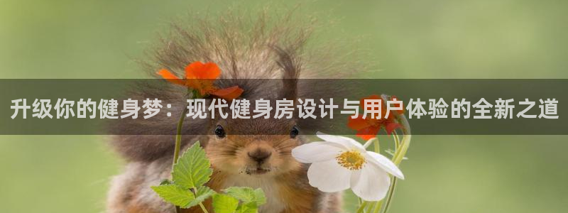 必赢网站平台登录