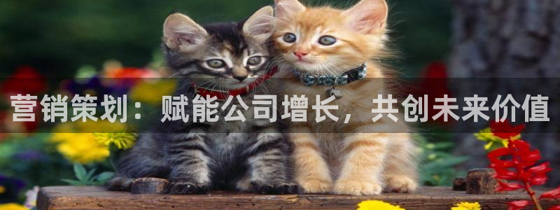 必赢官网网站：营销策划：赋能公